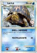 TURTLE