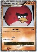red angry bird