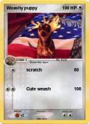 Weashy puppy