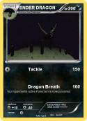 ENDER DRAGON