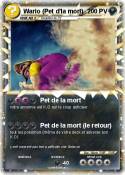 Wario (Pet d'la