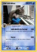 chat mitralleur
