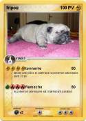 fripou