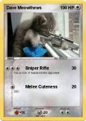 Dave Meowthews