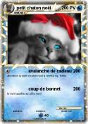 petit chaton