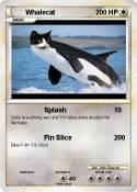 Whalecat