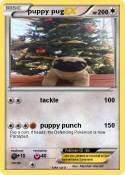 puppy pug