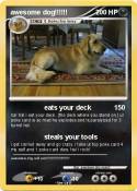 awesome dog!!!!