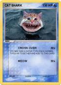 CAT SHARK