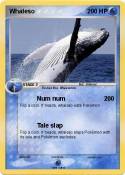 Whaleso