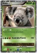 Koala