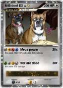 M Bidoof EX