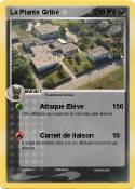 La Plante Gribé