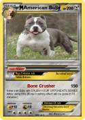 American Bully