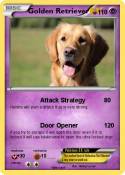 Golden Retrieve