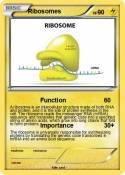 Ribosomes