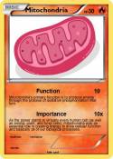 Mitochondria