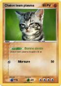 Chaton team