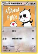 A Panda Piace