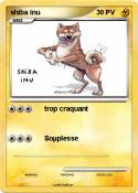 shiba inu