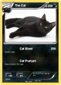 The Cat