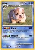 bulldog