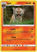 tiger