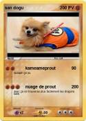 san dogu
