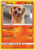 my dog