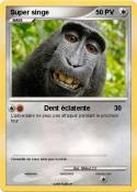 Super singe