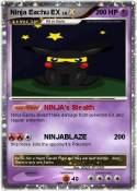 Ninja Eachu EX