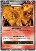 HAIDEN