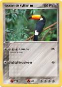 toucan de