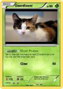 Dawnflower