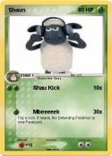 Shaun