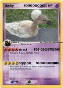 ducky 900000000