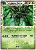 Fern Spider