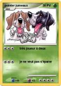 pointer jumeaux