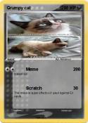 Grumpy cat