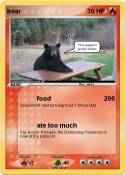 bear