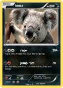 koala