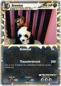 Sneeker