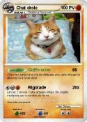 Chat drole