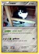 chaton