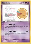 Interphase