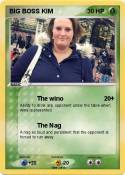 BIG BOSS KIM