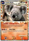 Koala Night