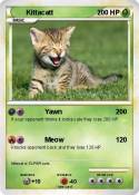 Kittacatt