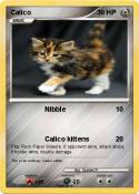 Calico