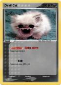 Devil Cat